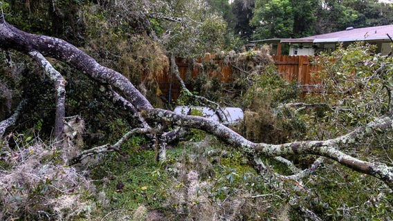 Marion County tree falls on 120-gallon propane tank, causing large gas leak: officials