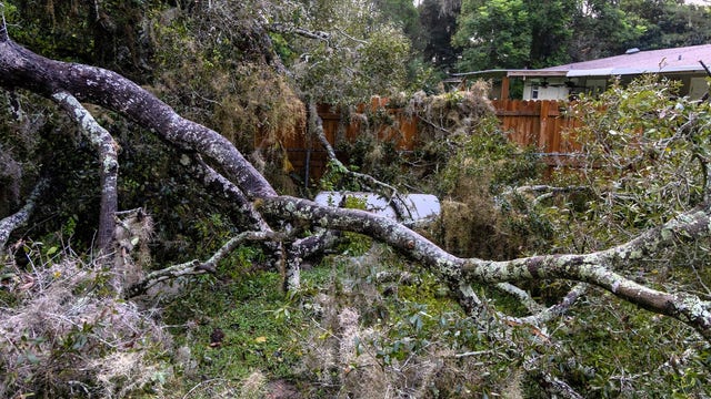 Marion County tree falls on 120-gallon propane tank, causing large gas leak: officials