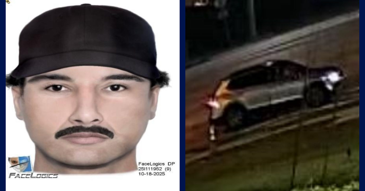 Man mistaken for rideshare driver accused of attacking woman, Osceola ...
