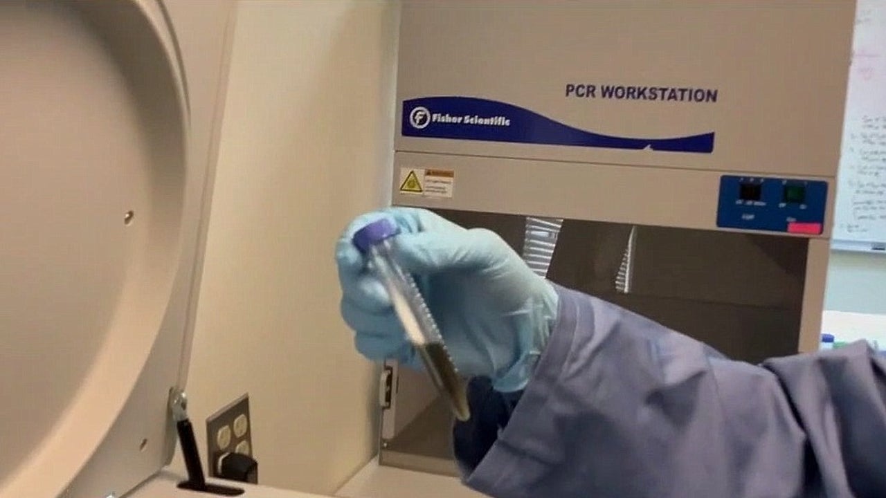 DNA Tech Solves 2007 Florida Sexual Assault Case - technology news