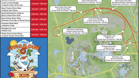 Disney World Wine and Dine Half Marathon Weekend: What to Know