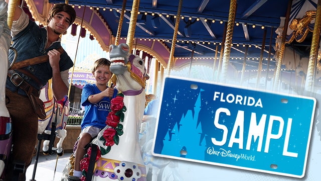 Disney specialty license plate raises $5M for Make-A-Wish kids: 'Power to transform a child’s life'