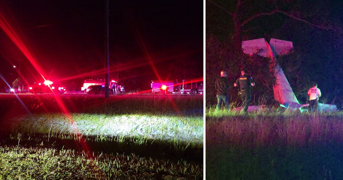 Pilot walks away after small plane crashes near Palm Bay | FOX 35 Orlando