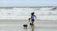 Searching for an outdoor adventure with your dog? Part of Daytona Beach is dog-friendly Dec. 1