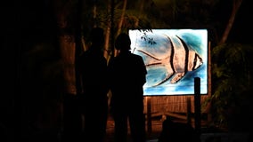 Brevard Zoo debuts holiday nighttime art experience ‘Lights On’