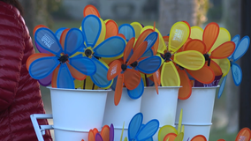 Hundreds attend 2025 Alzheimer's walk in DeLand