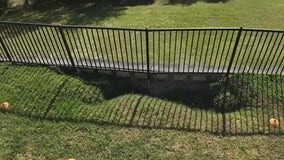 Mount Dora homeowners see new sinkholes weeks after historic flooding