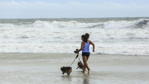 Searching for an outdoor adventure with your dog? Part of Daytona Beach is dog-friendly Dec. 1
