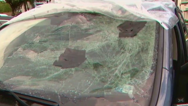 Family survives flying tire crash on Florida's Turnpike: 'It's a miracle'