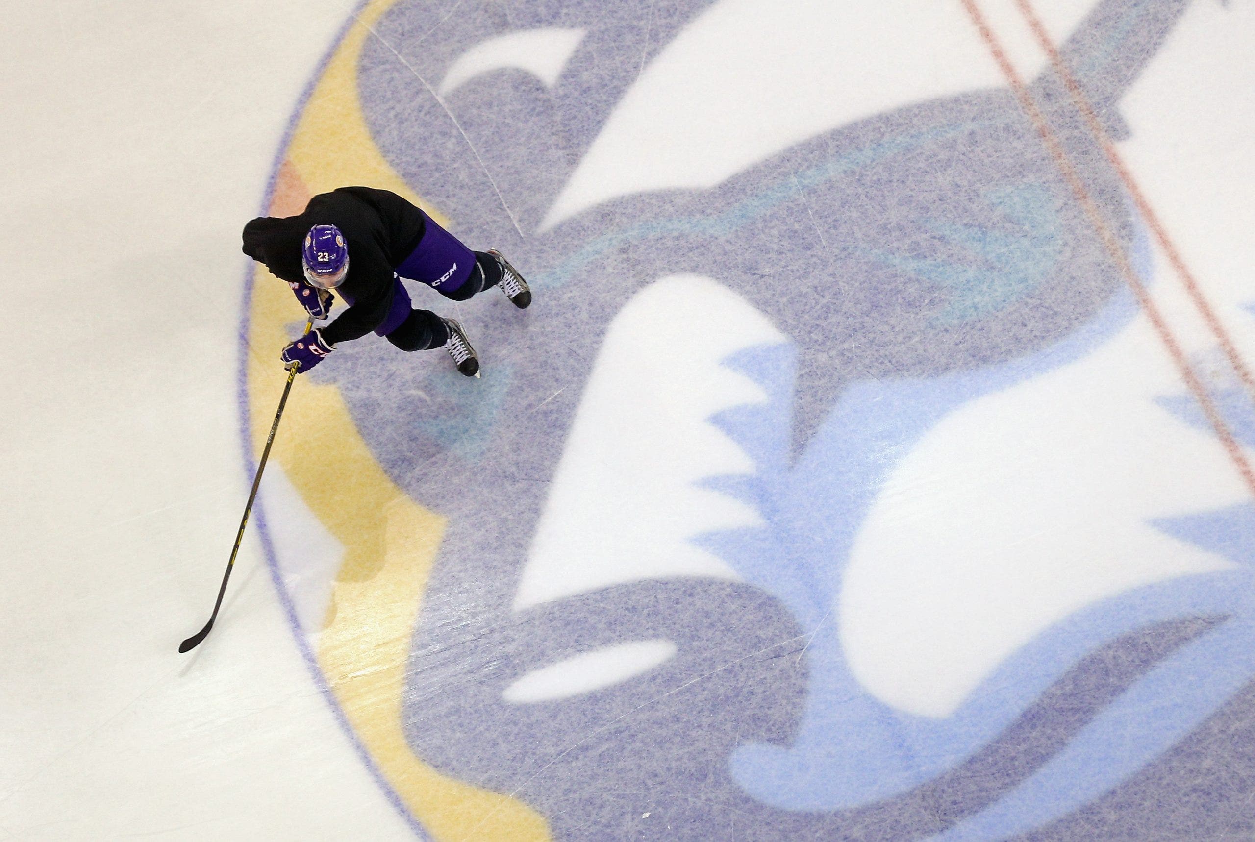 Hockey players on strike: Orlando Solar Bears postpones games amid ECHL, union bargaining agreement