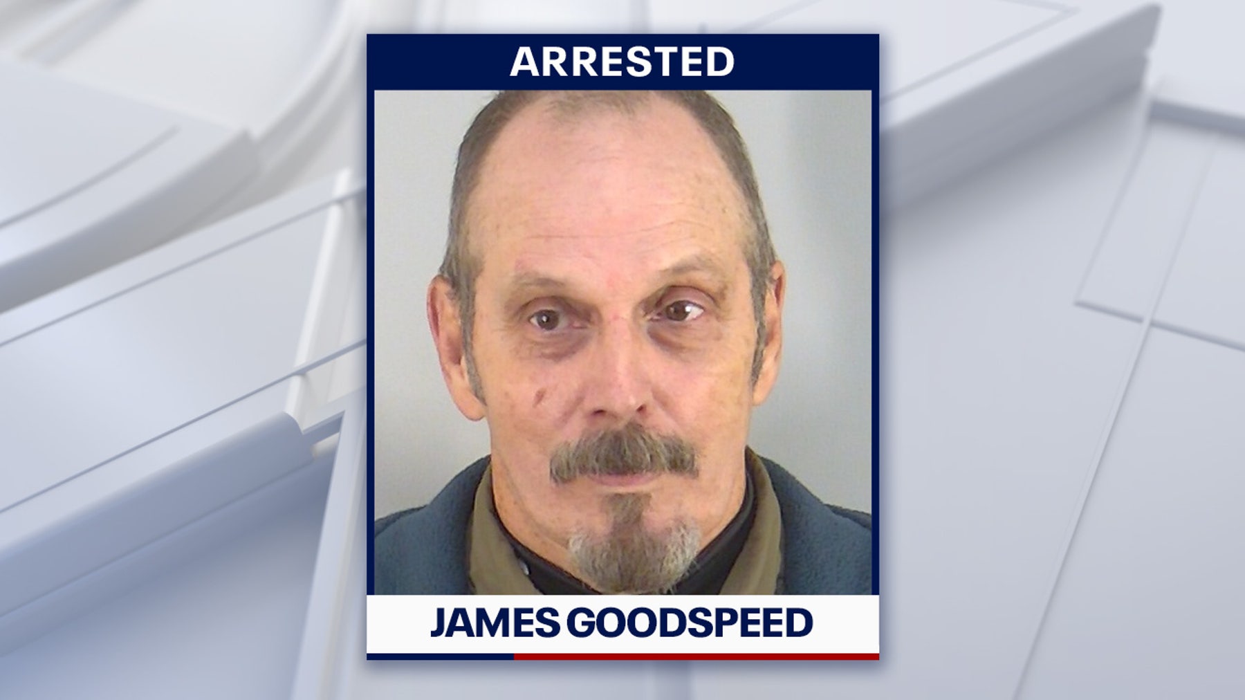 Florida man arrested for allegedly killing a bear without permit