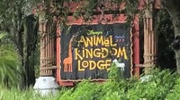 Florida woman sues Disney after falling near Animal Kingdom Lodge pool, complaint says