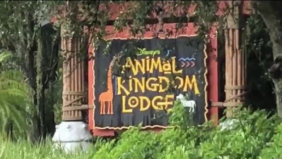 Florida woman sues Disney after falling near Animal Kingdom Lodge pool, complaint says