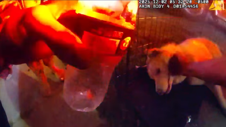 Police officer saves dog from burning home: 'Dogs are family'
