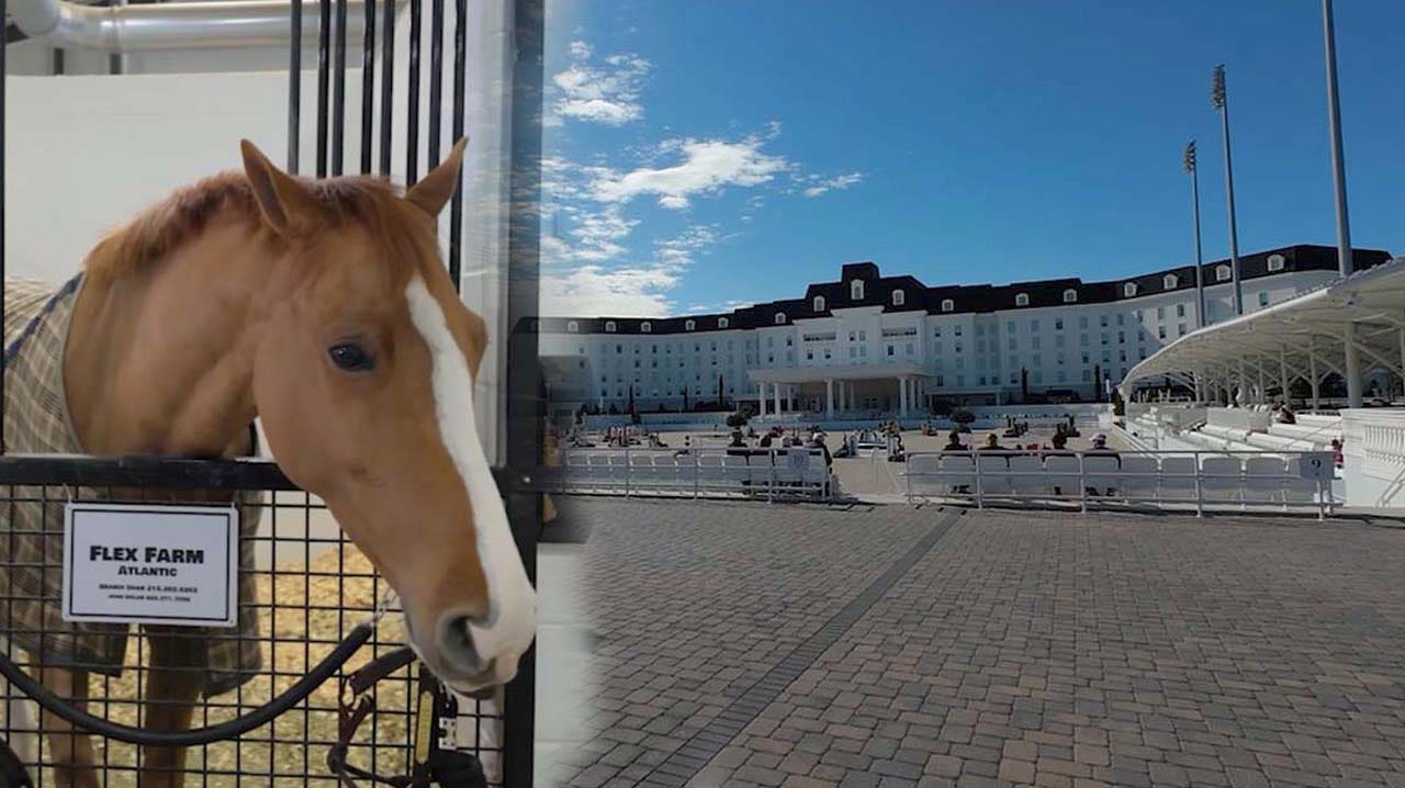 The 'Ritz' for horses: World Equestrian Center keeps animals comfortable during Florida cold snap