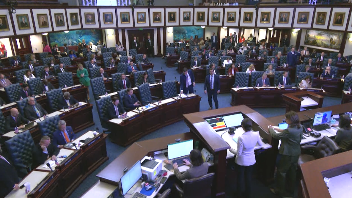 New Florida laws in 2026 tackle animal abuse database, pet insurance, breast examination costs