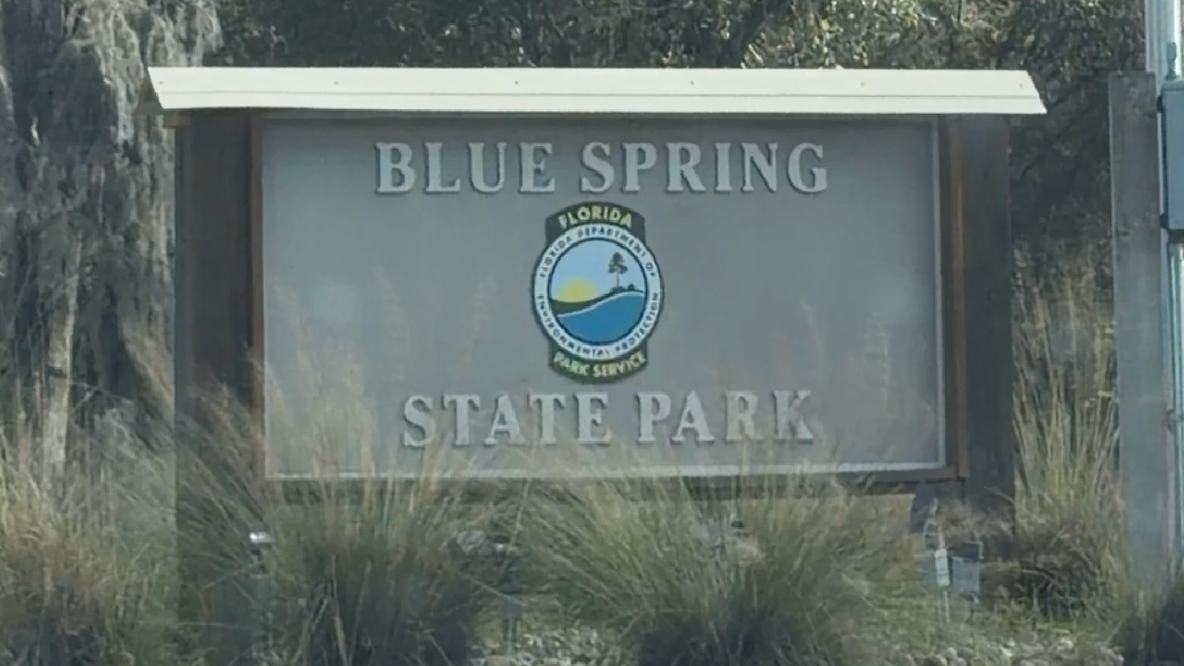 Reservations required to visit Blue Spring State Park starting July 18