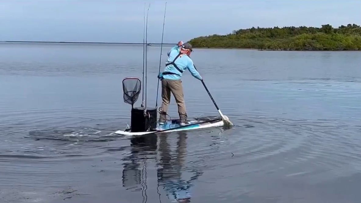 Oyster reefs are growing again in the Indian River Lagoon