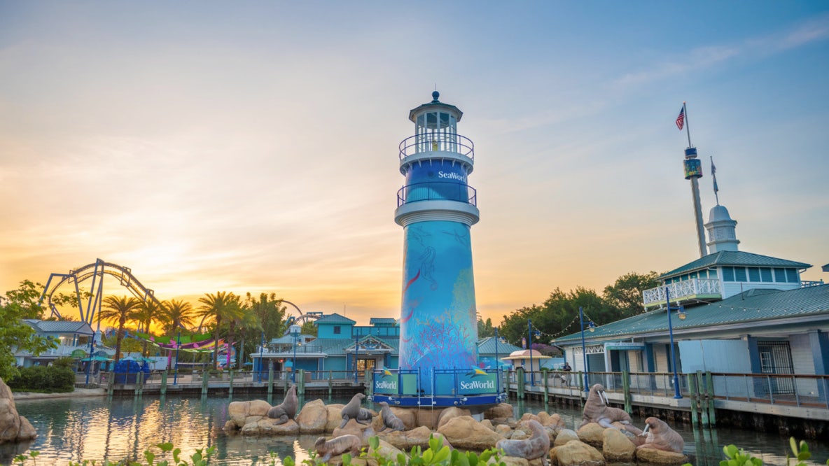 SeaWorld Orlando offers Florida teachers free admission
