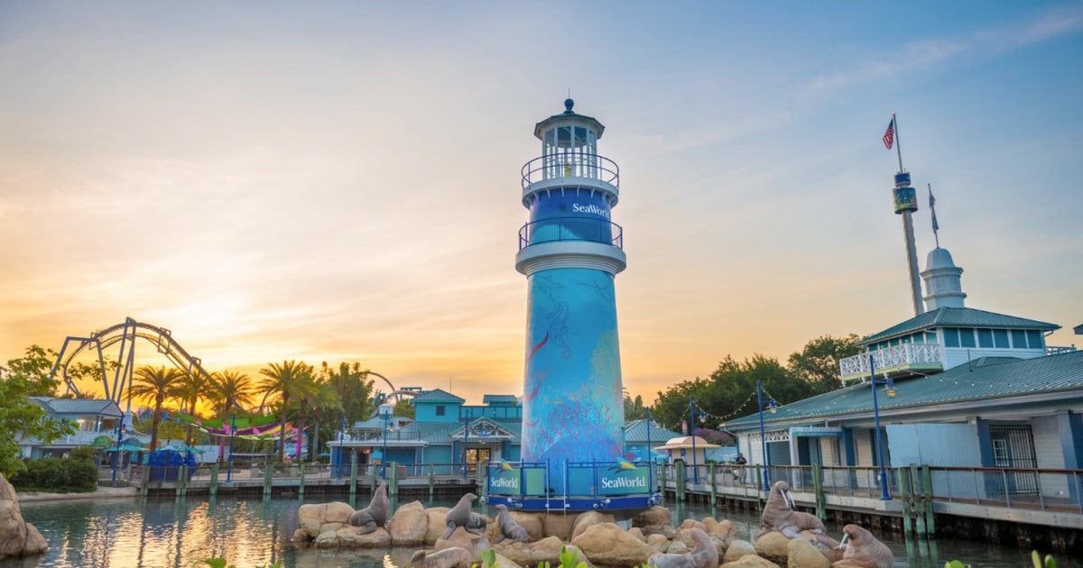 SeaWorld Orlando offers Florida teachers free admission