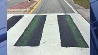 Black paint on Oviedo crosswalks fading months after being covered by FDOT