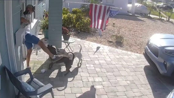 Loose dogs spark fear, calls for tougher enforcement in Volusia County