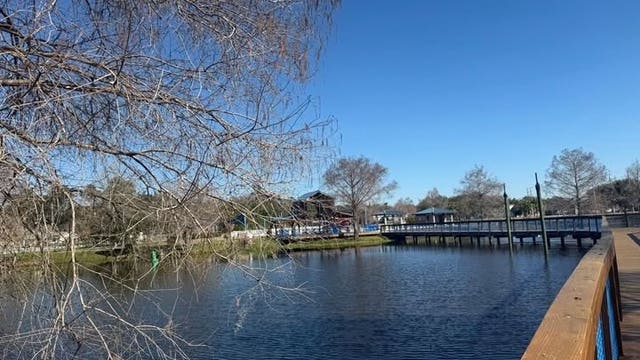 Winter Springs confirms bird flu outbreak after dead ducks found in Torcaso Park