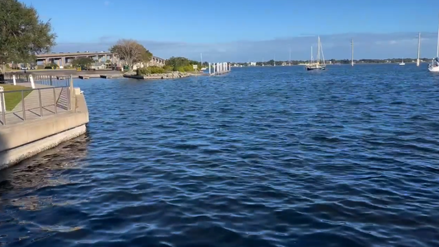 New experiment proves grass clippings are a leading threat to Indian River Lagoon health