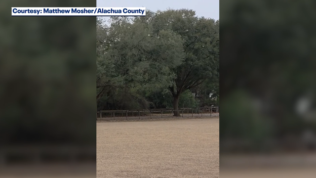 Snow flurries in Florida amid arctic freeze: photos and videos