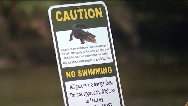 New report details deadly alligator attack at Lake Kissimmee State Park