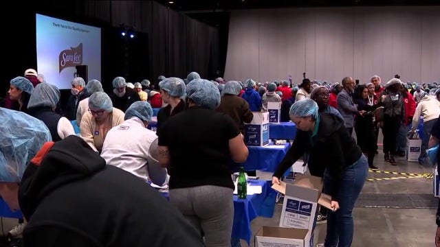 Central Florida volunteers honor MLK legacy with day of service