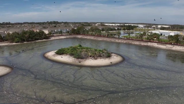 Former property owner weighs in on company filling in lake her family built: 'Sad to see it go'