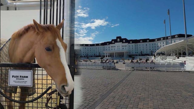 The 'Ritz' for horses: World Equestrian Center keeps animals comfortable during Florida cold snap