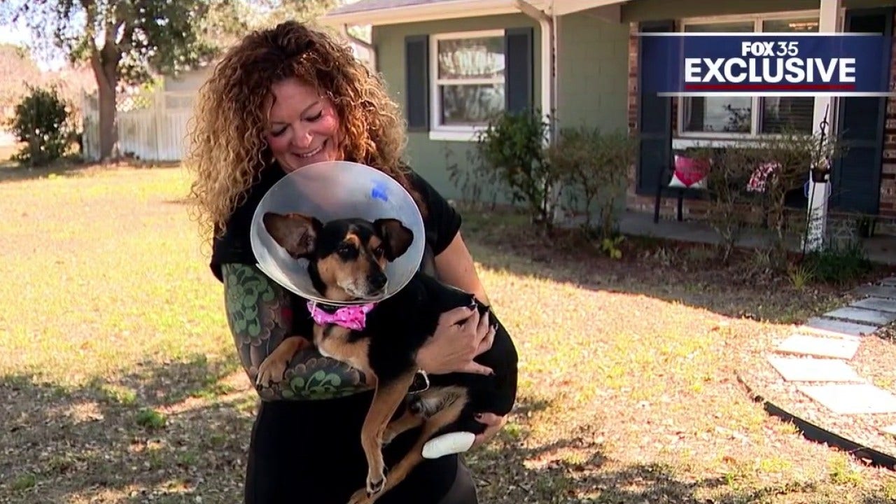 Florida woman, neighbor mauled while saving dog from Pitbull attack