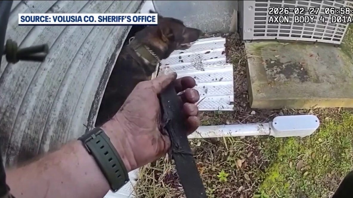 Deputies: 4 teens in custody after using golf cart as getaway vehicle in Port Orange car break-ins