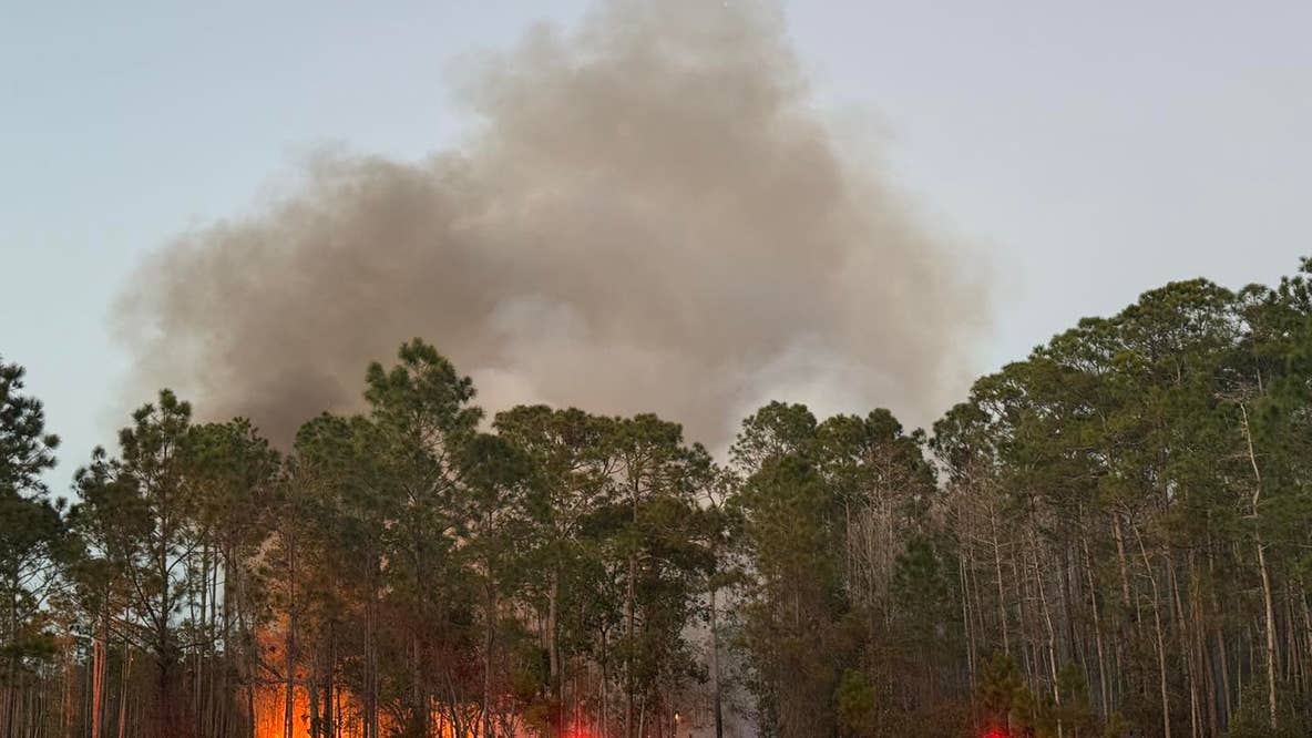 Flagler County fire: 170-acre wildfire burning near US 1; 80% contained