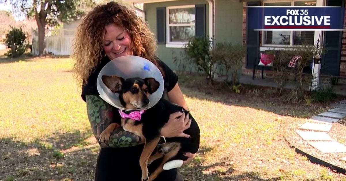 Florida woman, neighbor mauled while saving dog from Pitbull attack