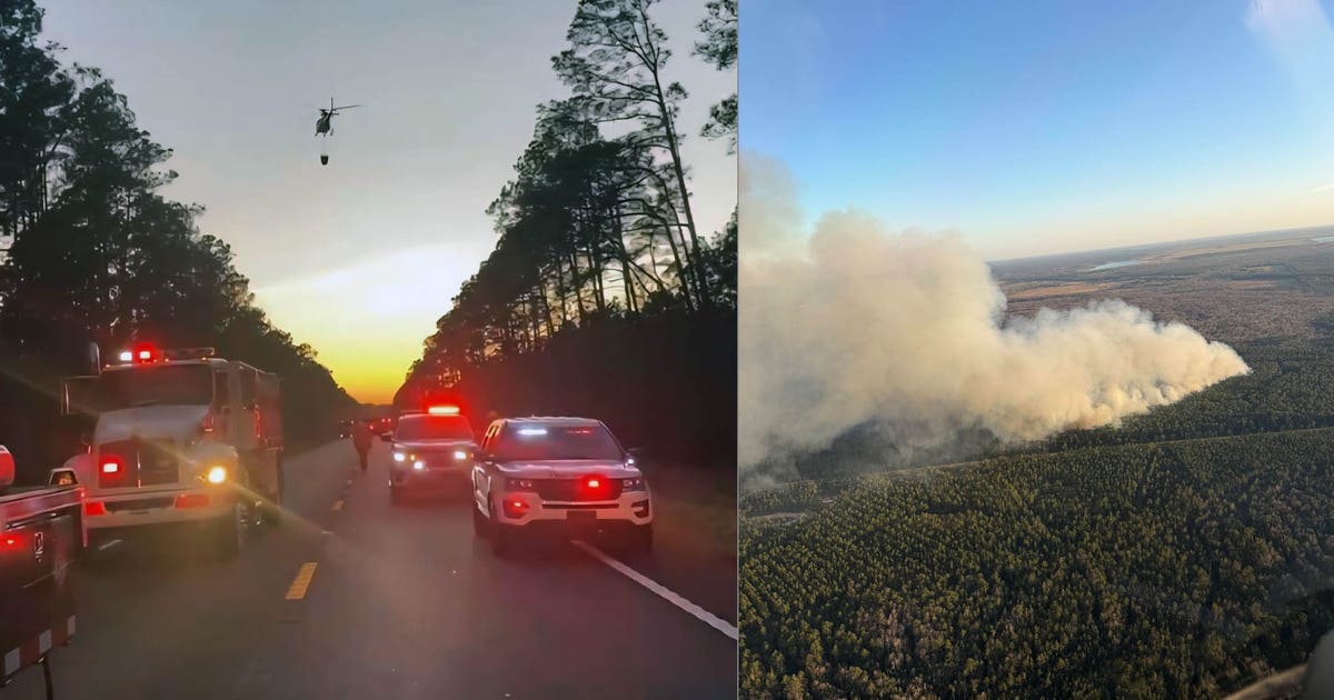 Brush fire in Volusia County burns 63 acres, shuts down State Road 40 ...