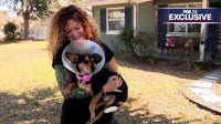 Florida woman, neighbor mauled while saving dog from Pitbull attack