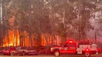 Flagler County declares state of local emergency amid severe drought and wildfire risk