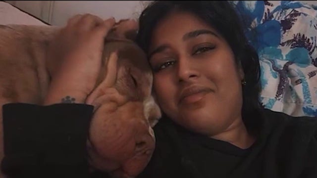 From heartbreak to hope: Brevard County rescue reunites car crash survivor with dog lost during accident