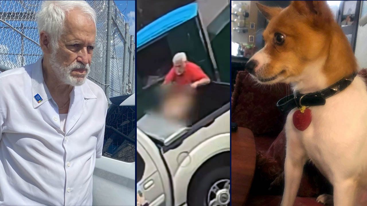 Florida man arrested after injured dog found in dumpster had to be put down, deputies say