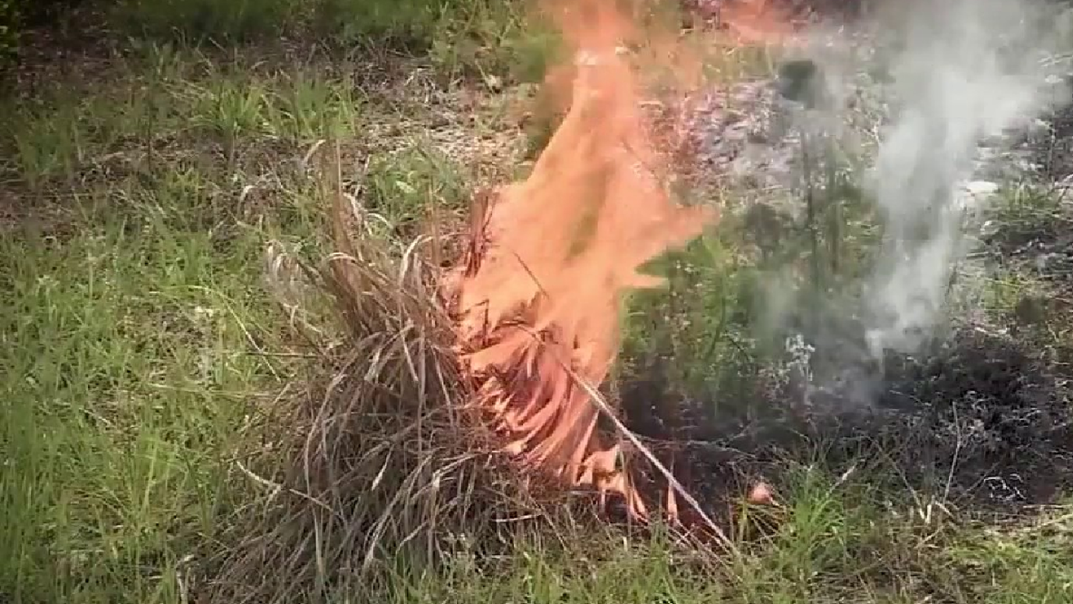 Burn ban issued for parts of Orange County, officials say