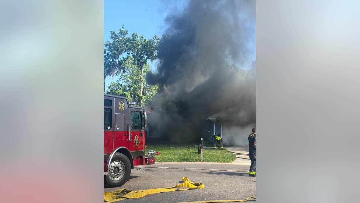 Dog dies in Ormond Beach house fire, officials say