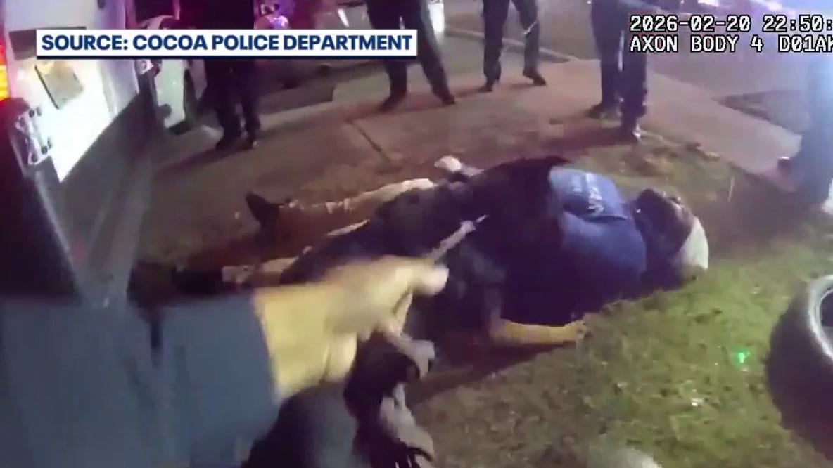 Video shows arrest of man accused of multi-county Florida shooting spree