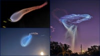 PHOTOS: 'Space jellyfish forms' from SpaceX Starlink rocket launch