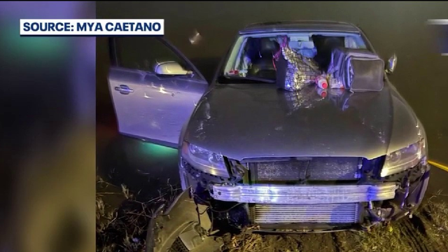 Florida couple's car spins into pond from hit-and-run impact: 'Thankful to be alive'