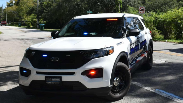 Florida woman stole mail from over 60 addresses in Holly Hill, police say