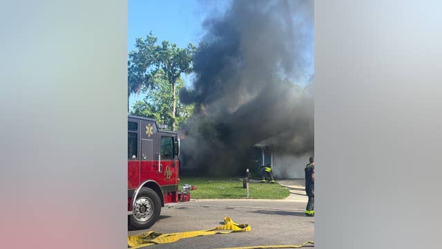 Dog dies in Ormond Beach house fire, officials say