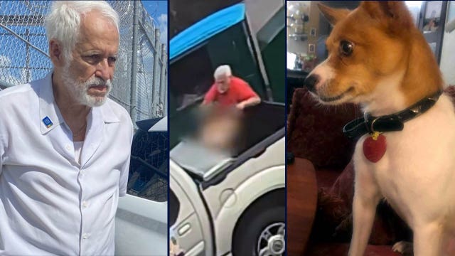 Florida man arrested after injured dog found in dumpster had to be put down, deputies say